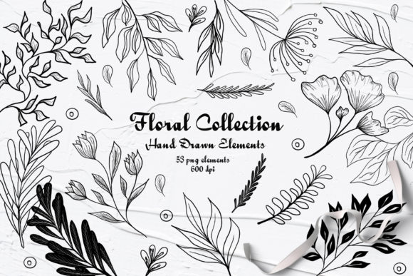 Graphic Floral Collection 600dpi: A Versatile Tool for Creative Projects