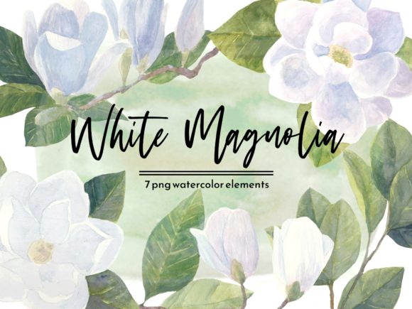 White Magnolia Watercolor Floral Set: A Delicate Touch for Your Creative Projects